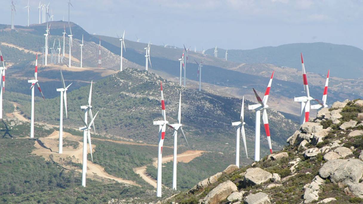 Nareva est devenu au fil des ans le champion national de la construction de parcs éoliens au Maroc.

