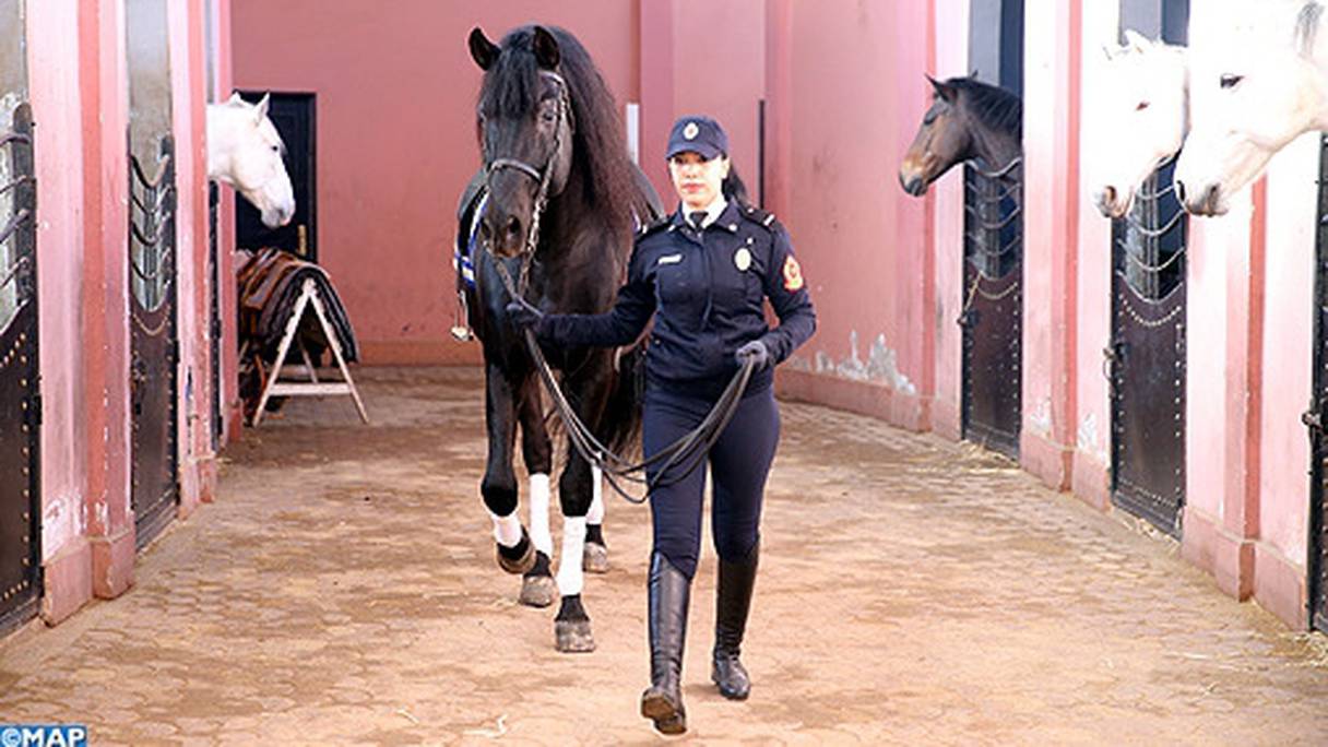 Hanane El Oumami, gardien de paix chargée de dressage des chevaux à l'Ecole de la cavalerie de police de Kénitra.
