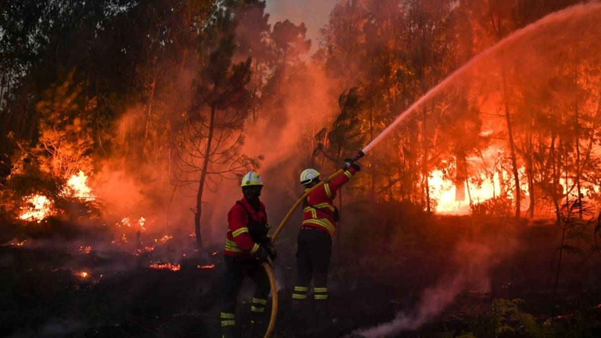 Des pompiers portugais luttent contre les feux. 
