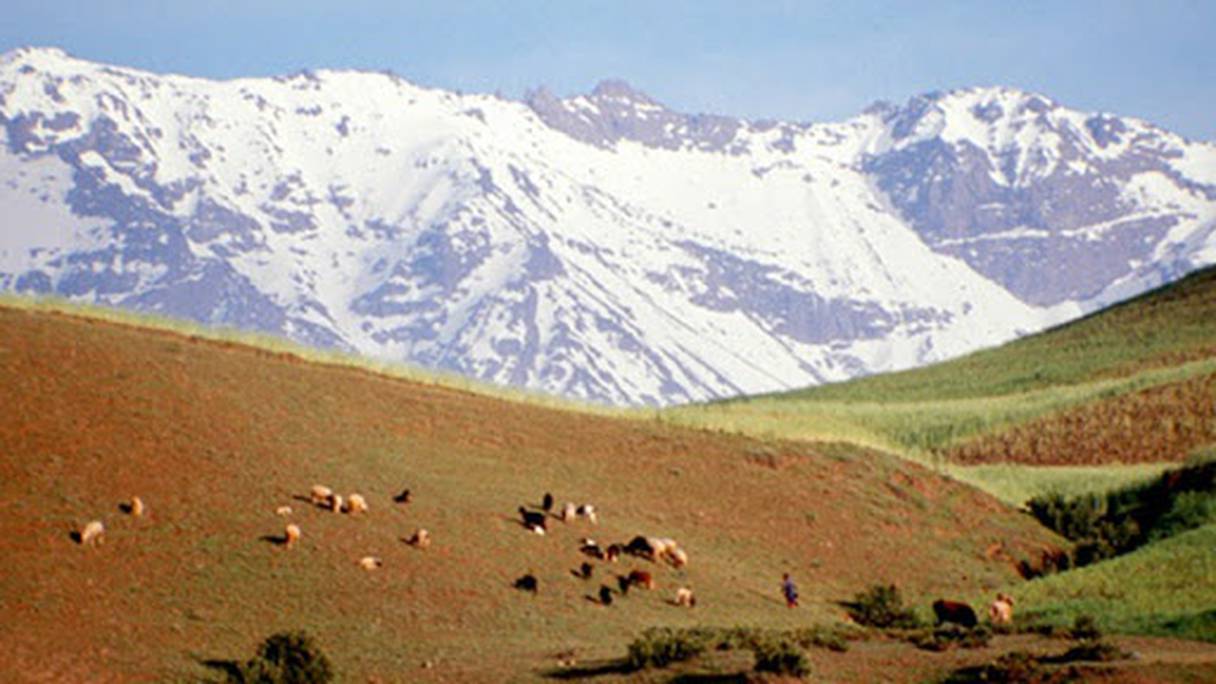Dans le Géoparc du M'Goun (Haut Atlas central). Cette vaste étendue, délimitée sur 5.700 km² du territoire marocain, est la première en Afrique à avoir obtenu en 2014 le label "Global Geopark" de l'Unesco, dont font partie 111 territoires dans 32 pays.
 
