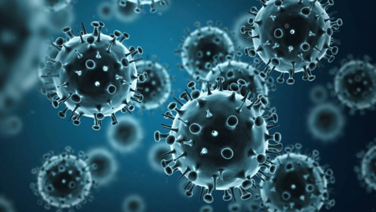 La grippe H1N1 est devenue "une grippe humaine" qui se transmet d'homme à homme.

