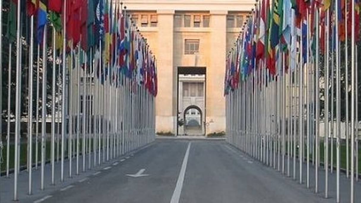 Conseil des droits de l'Homme, à Genève: un chemin parsemé d'épines!
