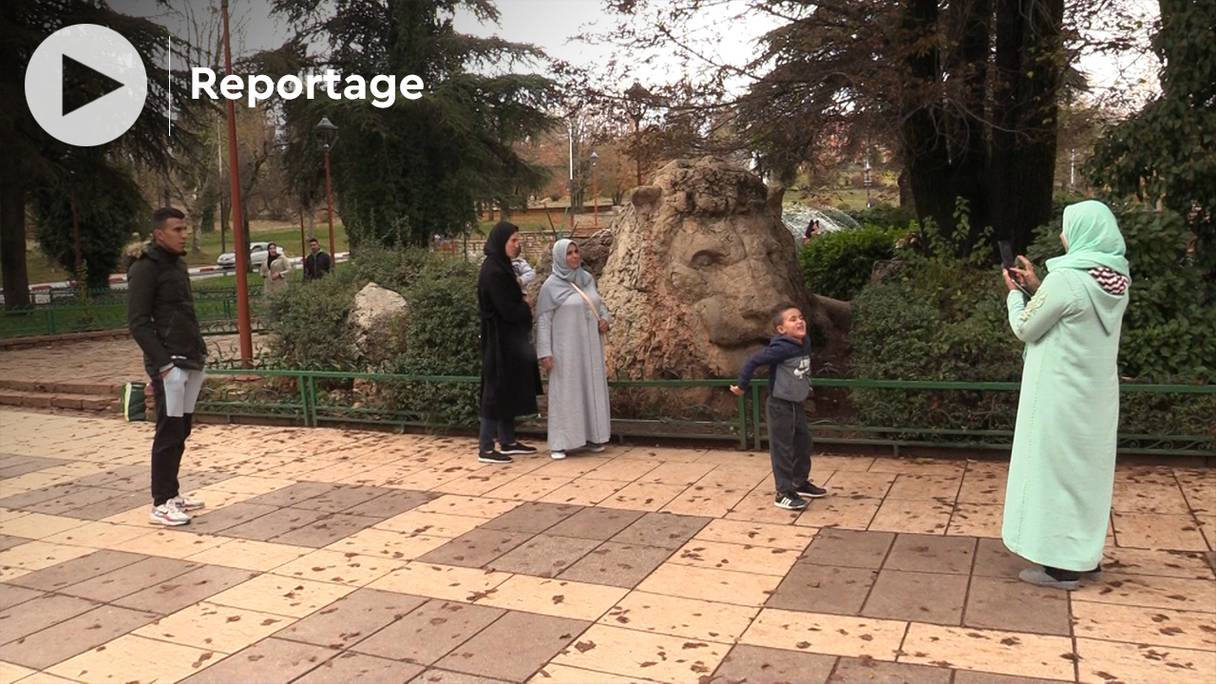Des touristes nationaux se font photographier devant le Lion d'Ifrane. 
