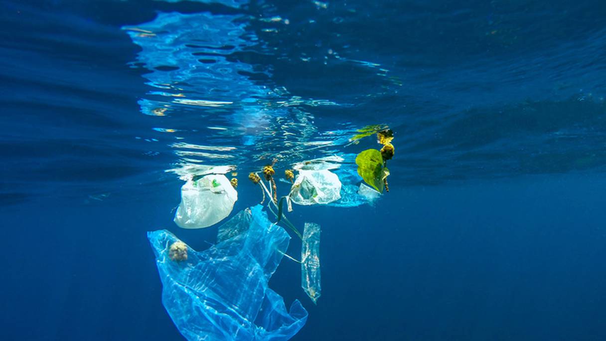 La France a produit 4,5 millions de tonnes de déchets plastiques en 2016, soit 66,6 kg par personne.
