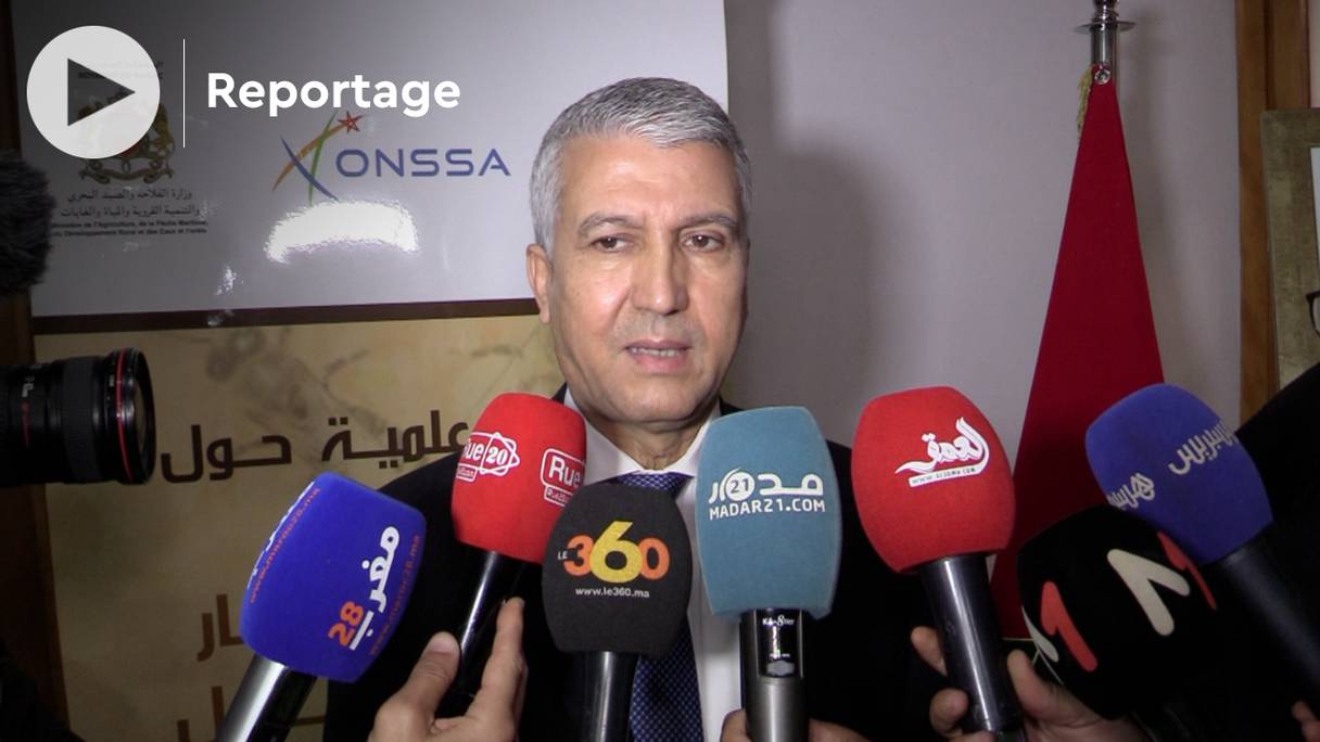 Mohamed Sadiki, ministre de l’Agriculture, est revenu sur les causes du syndrome d'effondrement des abeilles qui touche le Maroc, lors d'un colloque scientifique sur le phénomène, qui s’est tenu vendredi 25 février 2022, à Rabat,
