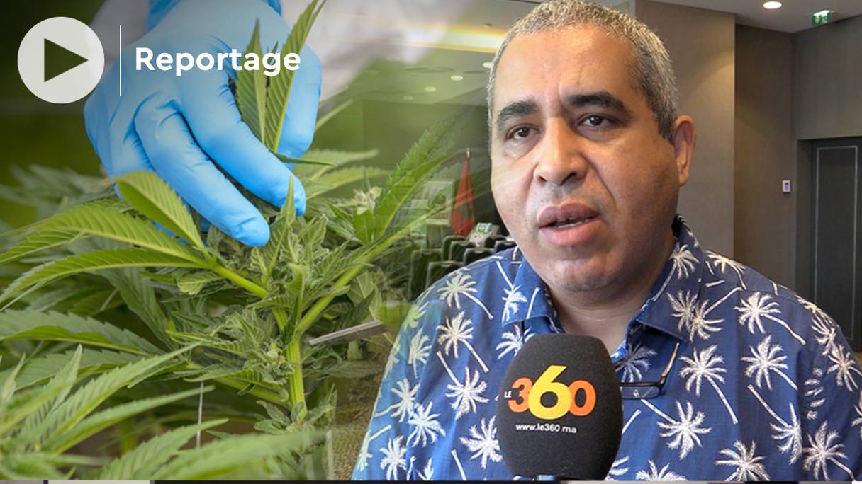 Le Dr Najib Alidrissi revient sur les bienfaits du cannabis dans le traitement de certaines maladies.
