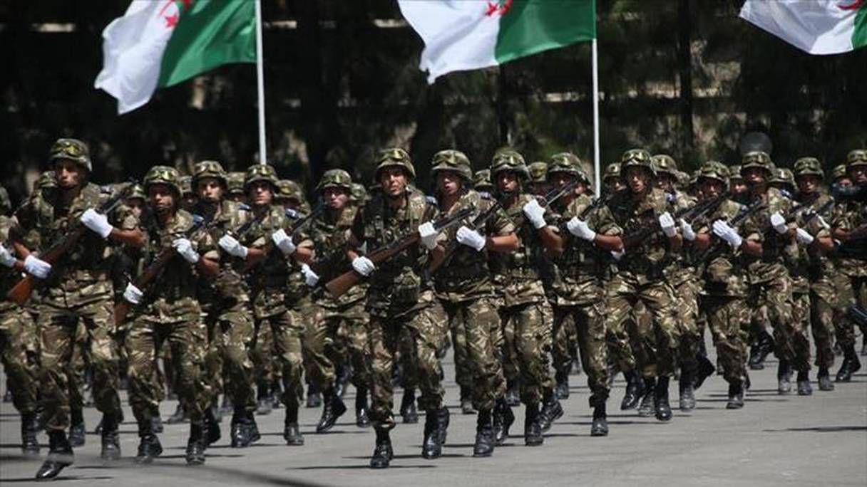 L'armée algérienne.
