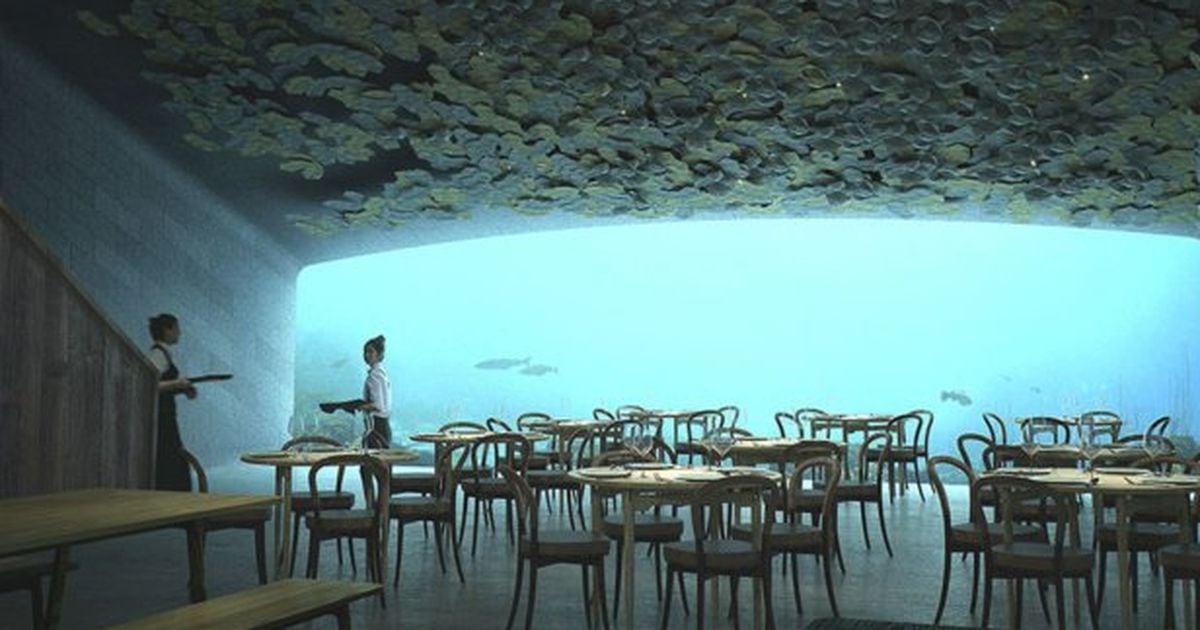 Video.  Norge: en undervannsrestaurant for bespisning omgitt av vann… Men tørt