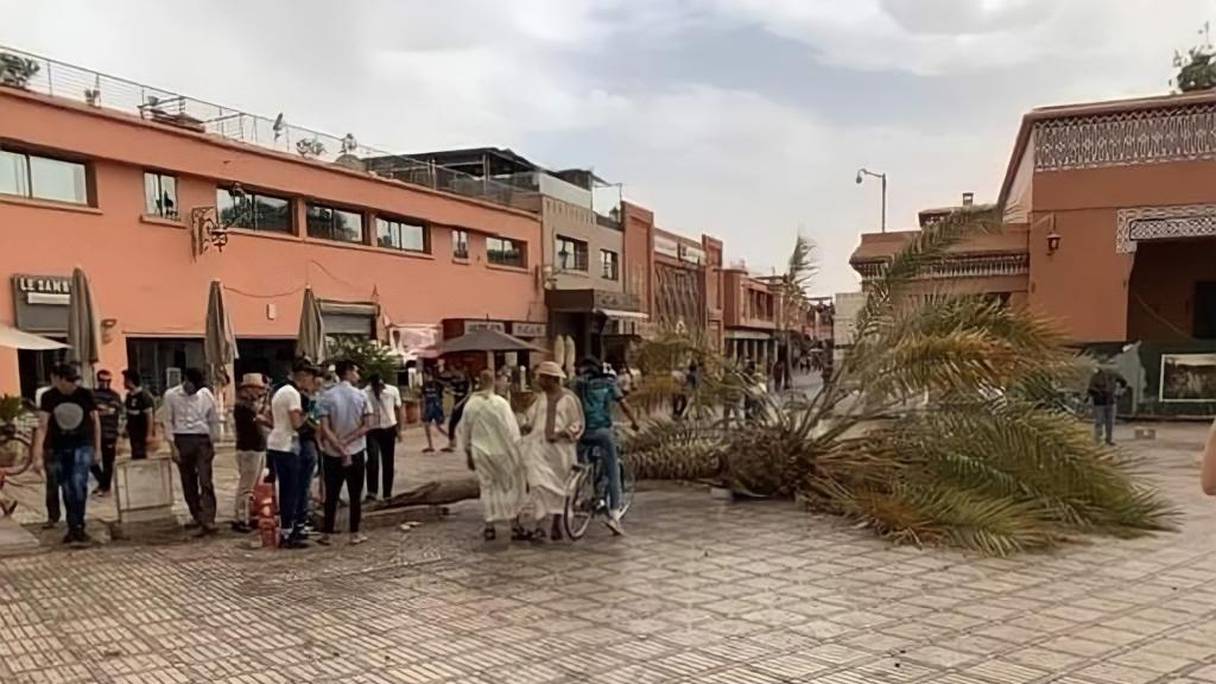 Une tempête de vent a fait d'importants dégâts à Marrakech, jeudi 14 juillet 2022.

