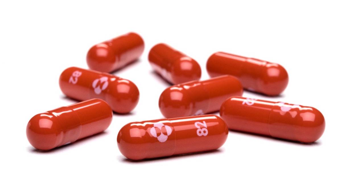 Des capsules de la pilule antivirale Molnupiravir du laboratoire américain Merck & Co,Inc.
