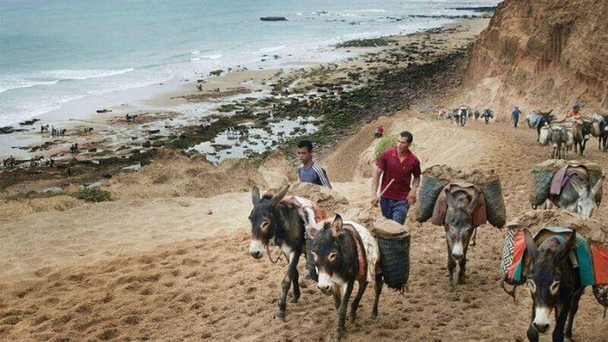 Les enfants collectent le sable et le transfère à dos d'âne aux chauffeurs de camions qui le revendent aux promoteurs 
