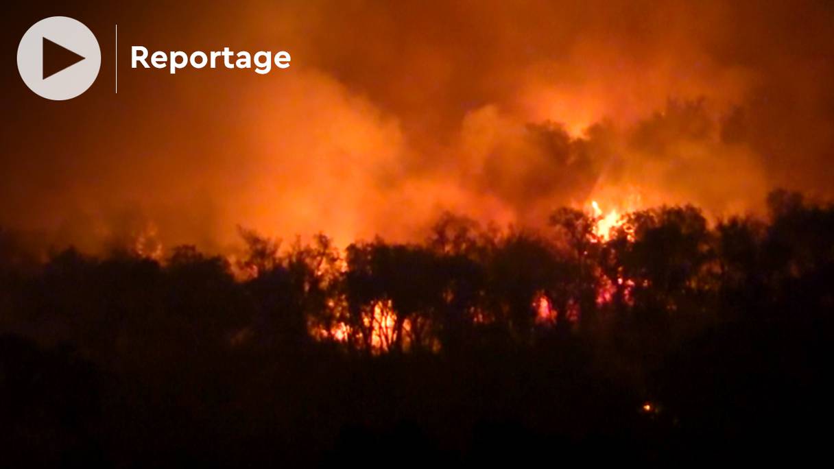 Un incendie fait rage depuis le 13 juillet 2022 à Boujedyane, au sud de Larache. Des dizaines d'arbres ont été ravagés par les flammes, et les habitants de seize maisons à proximité ont été évacués.
