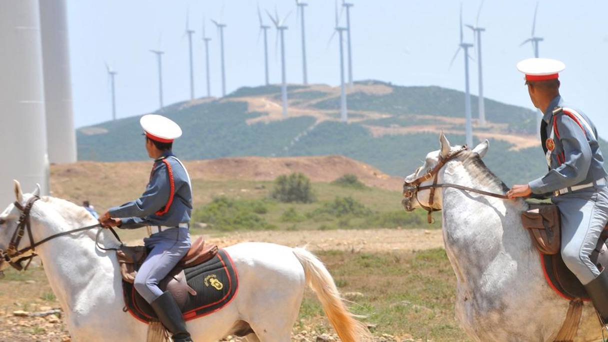 Le Maroc possède la plus grande centrale éolienne d'Afrique.
