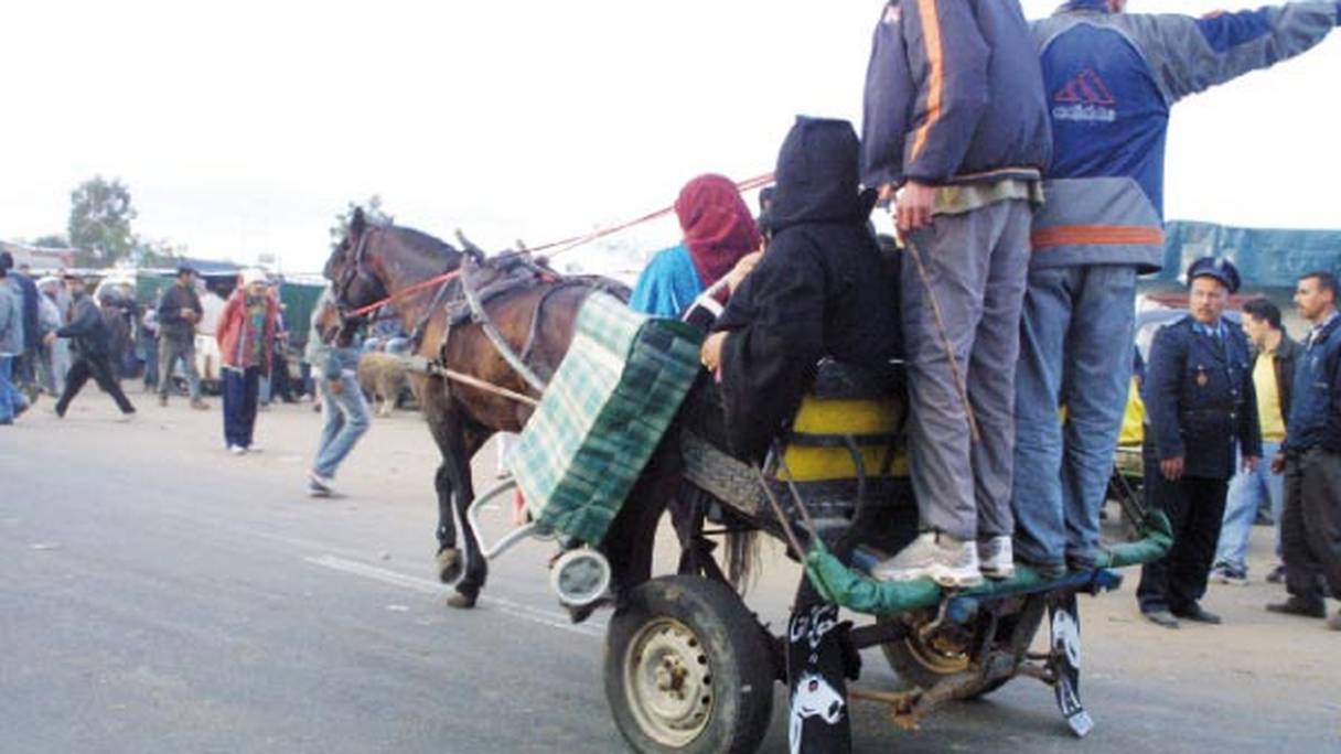 Charrette tirée par un cheval de trait, à Casablanca. La circulation des charrettes à traction animale est, de l'avis des Casablancais, responsable d'accidents de la route et de perturbations de la circulation dans la métropole. 
