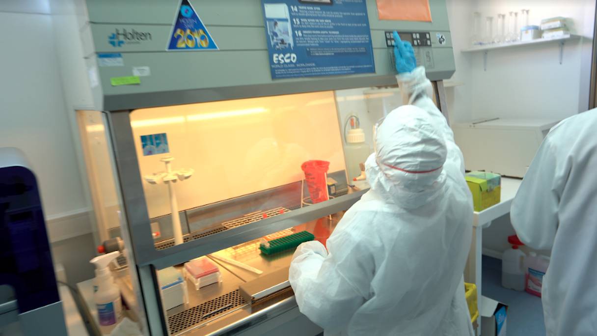 Des laborantins analysent des prélèvements au laboratoire de virologie de l'Institut Pasteur-Maroc, à Casablanca. 
