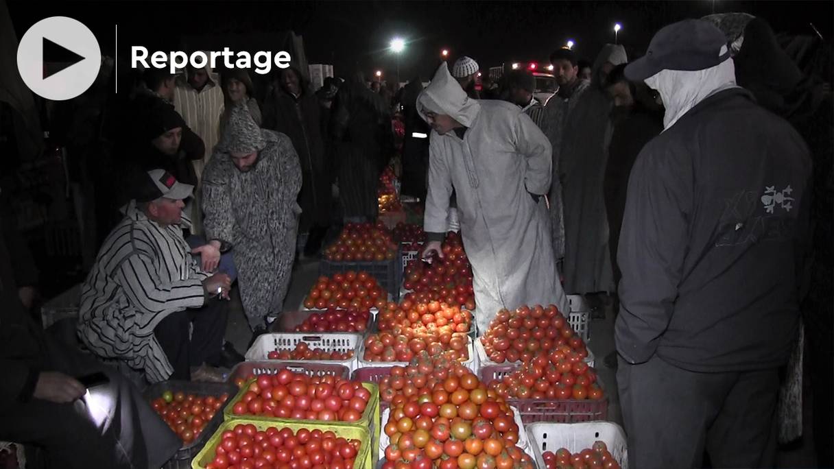 Au marché de gros d’Inezgane (Souss-Massa), l’une des principales halles des fruits et légumes au Maroc, le caisson de tomates oscille, selon leur sorte, entre 80 et 130 dirhams.
