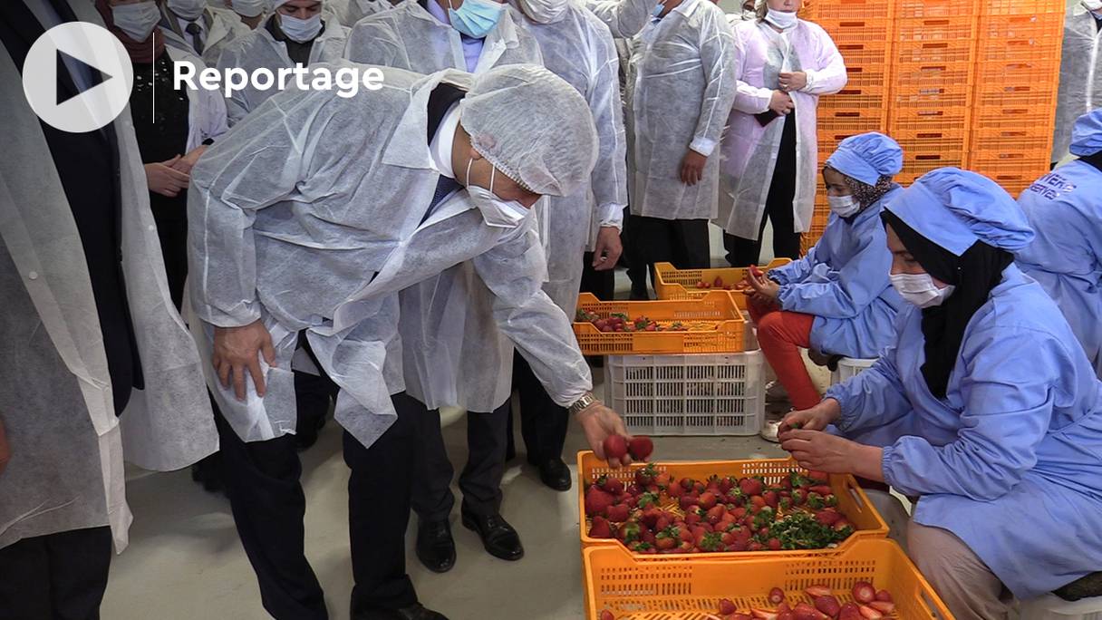 Le ministre de l'Agriculture, Mohamed Sadiki, a visité hier, dimanche 27 mars 2022, à Taourirt, une unité de valorisation des fruits et légumes spécialisée dans la surgélation et la réfrigération des produits agricoles destinés à l’export.
