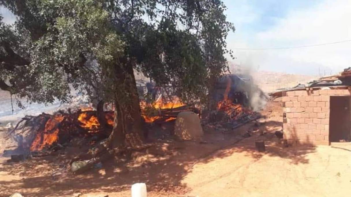 A Tahla dans la région de Taza, l'incendie, qui s'est déclaré jeudi 14 juillet 2022, ravage les oliviers.
