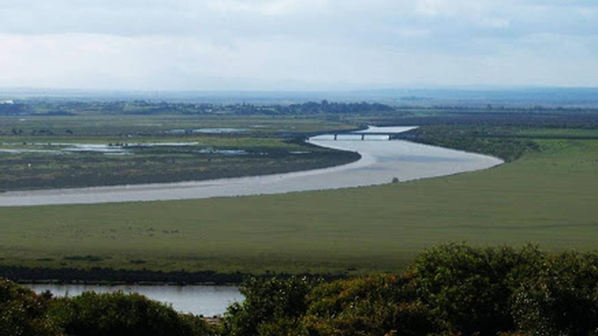 Bassin du Loukkos, près de Larache. L'écosystème autour de cet oued a permis son inscription en 2005 auprès du secrétariat Ramsar, en tant que Site d'intérêt biologique et écologique -SIBE, et en tant que Zone importante pour la conservation des oiseaux -ZICO.
