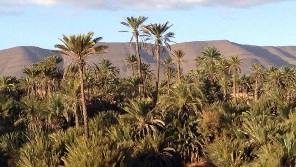 Oasis de Tighmert, à près de 15 km à l'est de Guelmim. Environ 650 familles, majoritairement des nomades entre-temps sédentarisés, y vivent de la culture des palmiers-dattiers, du maraîchage (figues, abricots), et de petits champs de céréales (blé, orge et maïs). 

