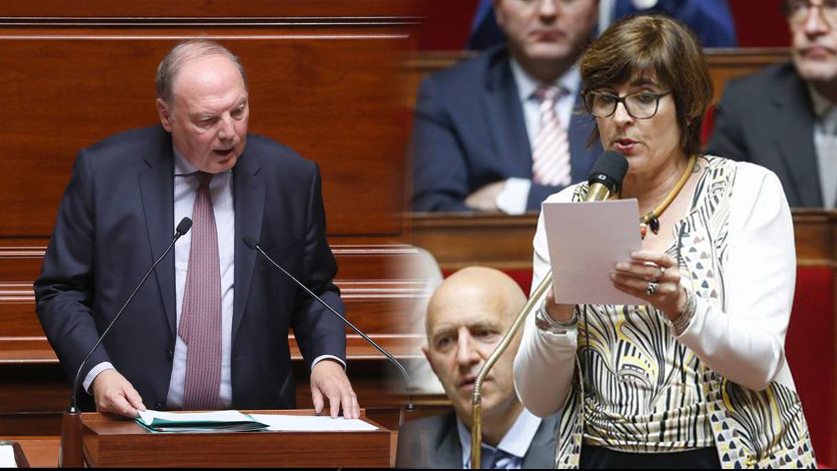 Christine Verdier-Jouclas, la porte-parole des députés En Marche à l’Assemblée nationale et Hervé Marseille, patron des centristes au Sénat.
