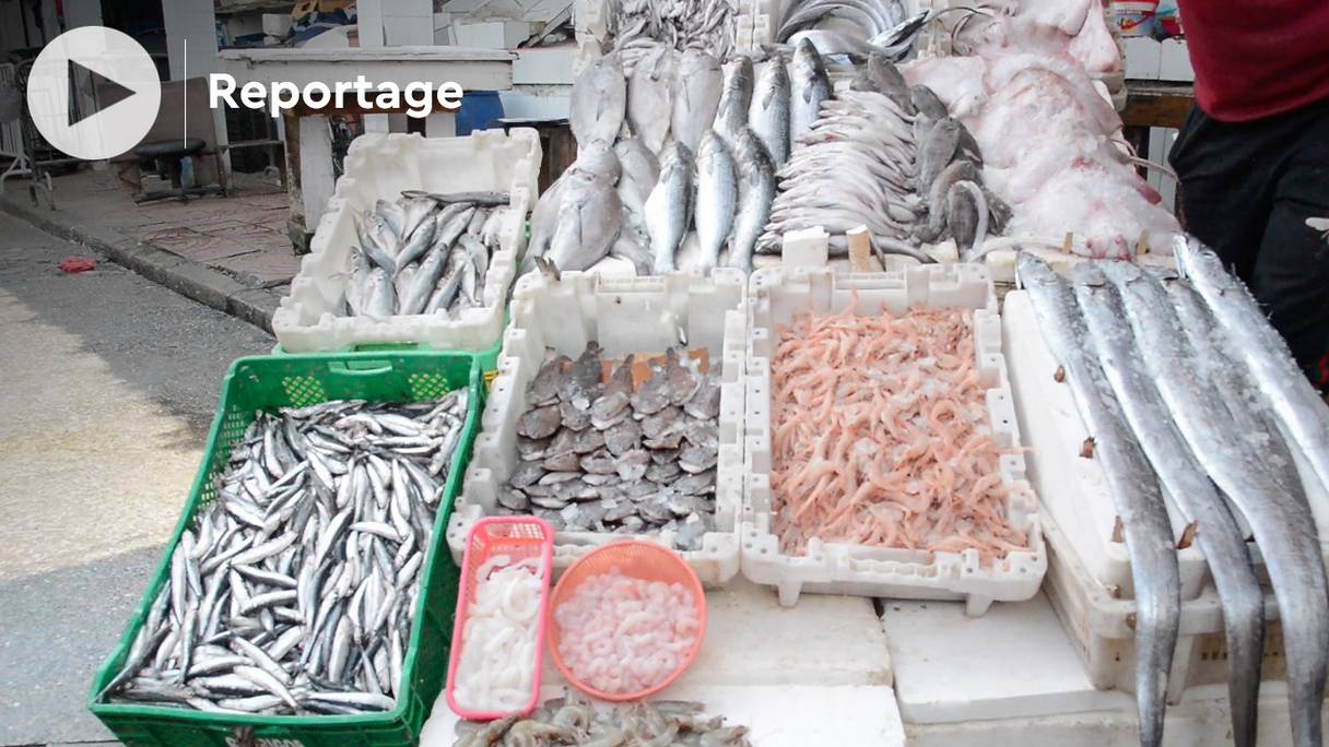 Etal de poisson et fruits de mer. Au cours du mois de ramadan de l'année 2021, le prix du kilo de sardine est passé du simple au double à Casablanca. 
