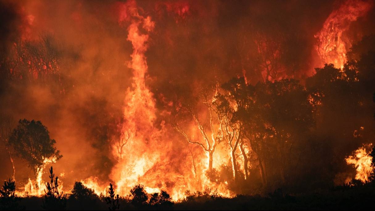 Le feu ravage des forêts dans la région de Chefchaouen, au nord du Maroc. Une photo prise dans la nuit du 15 août 2021. 
