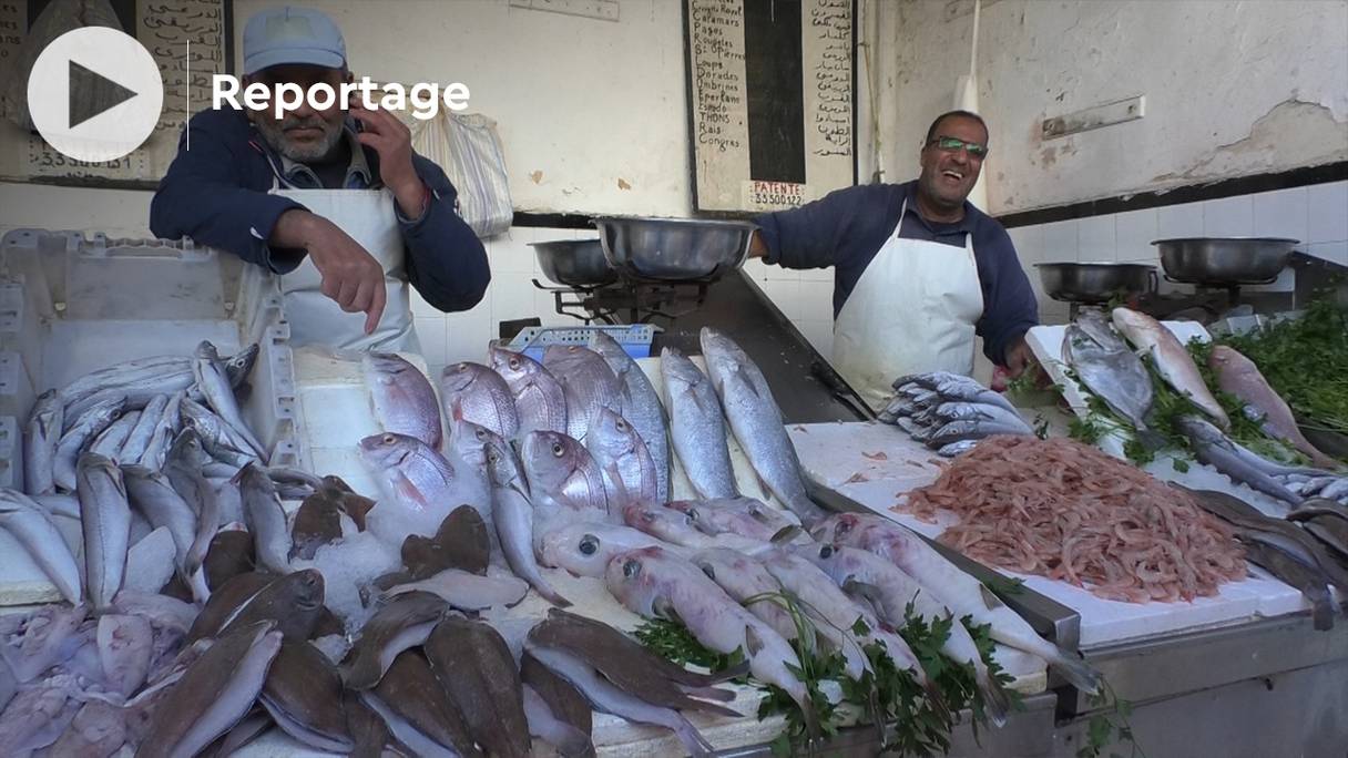 Le marché de poisson de Benjdia, à Casablanca.
