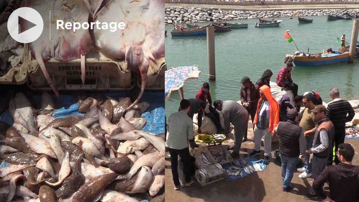 Le petit port de pêche artisanale de Salé, ville jumelle de Rabat, et ses étals de poissons, samedi 16 avril 2022.
