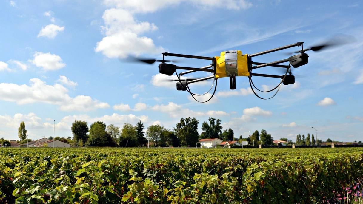 Les drones sont devenus des outils d'aide à la décision dans le secteur agricole.
