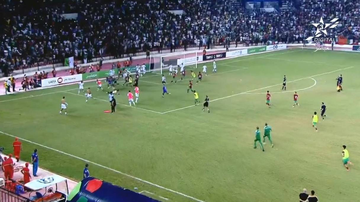 Les Lionceaux ont été agressés lors d'un match contre l'Algérie à Oran.

