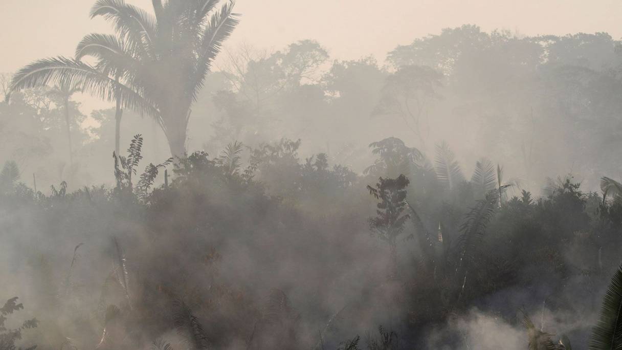 Au Brésil, les feux de forêt en Amazonie ont augmenté de 83% depuis le début de l'année par rapport à 2018. 
