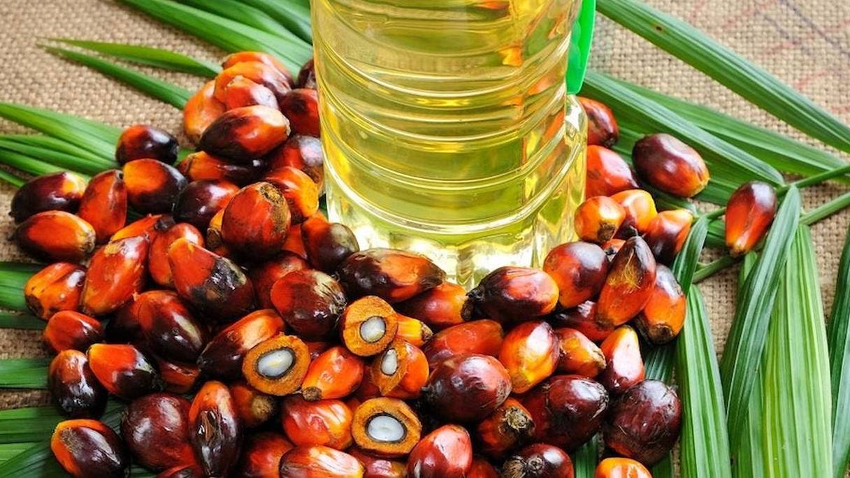 Fin janvier, le prix de l’huile de palme brute a enregistré un record atteignant 1.347 dollars la tonne.

