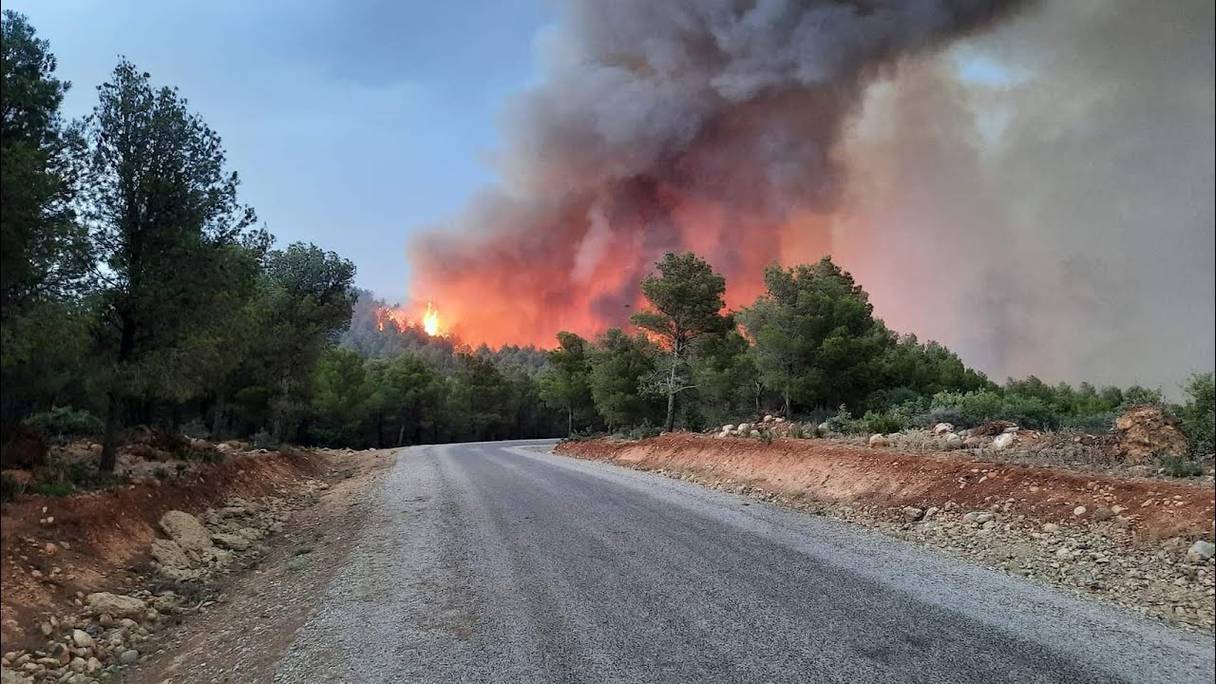 L'incendie, qui s'est déclaré dimanche 24 juillet dans la forêt du mont Tamssit (province de Béni Mellal), a été complètement circonscrit.
