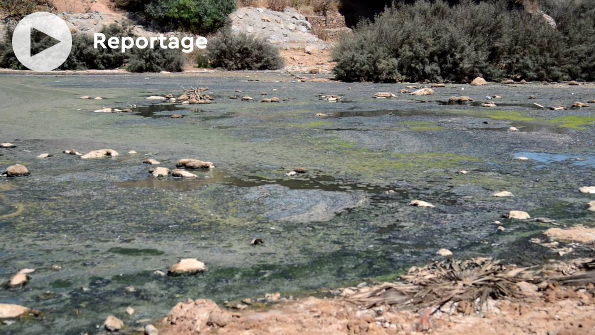 L'Oued Nfifikh fait partie des rivières marocaines les moins étudiées.
