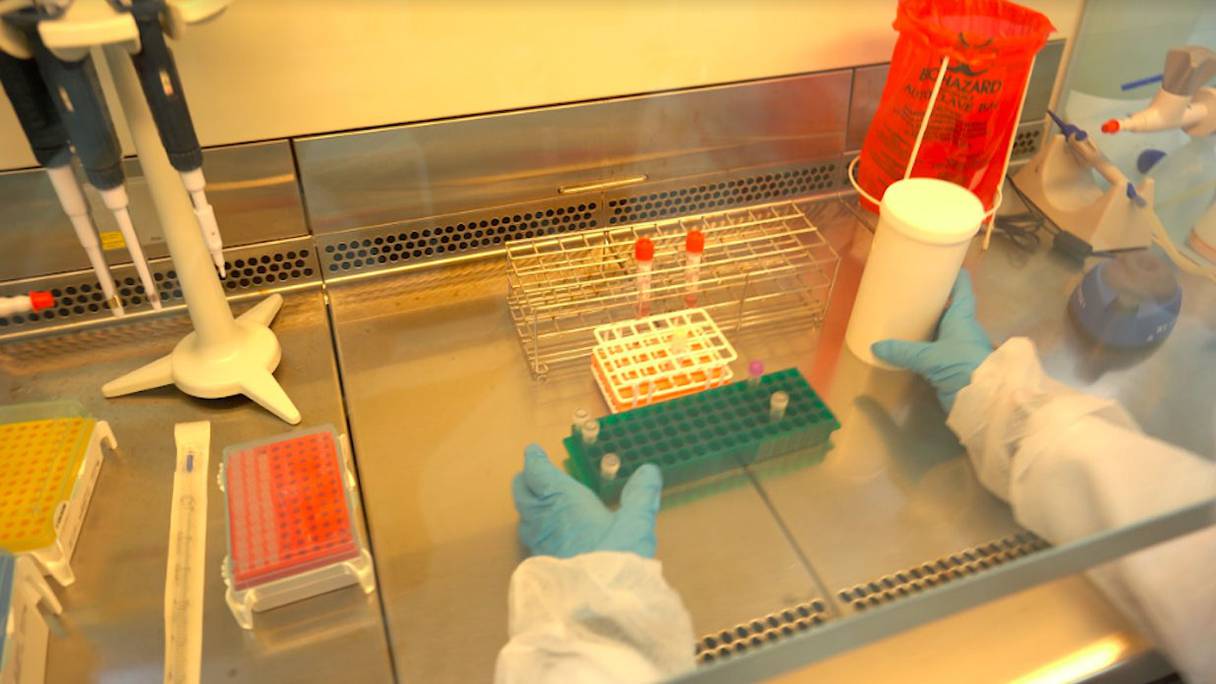 Une étape du protocole de dépistage de la présence du coronavirus SARS-CoV-2 à l'Institut Pasteur-Maroc de Casablanca.
