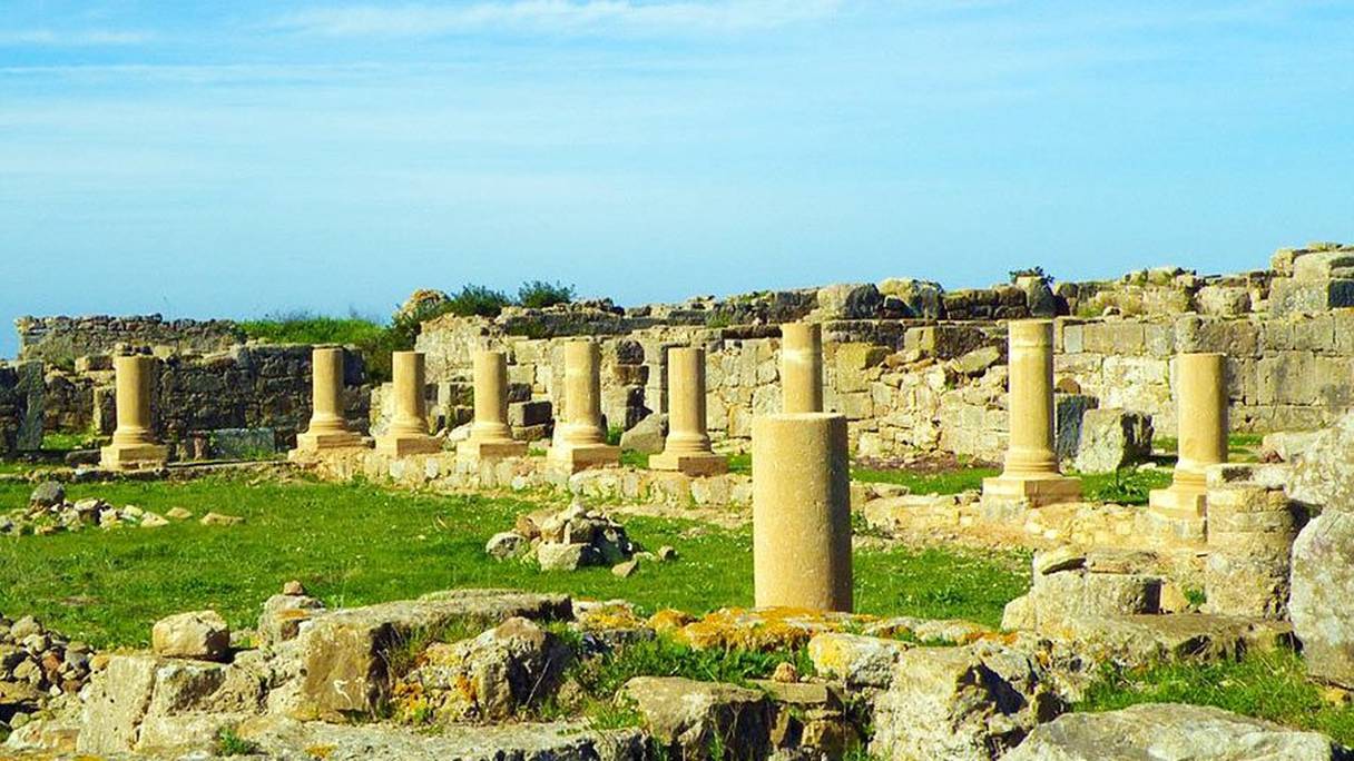 Lixus, près de Larache, antique cité datant de l'époque romaine. 
