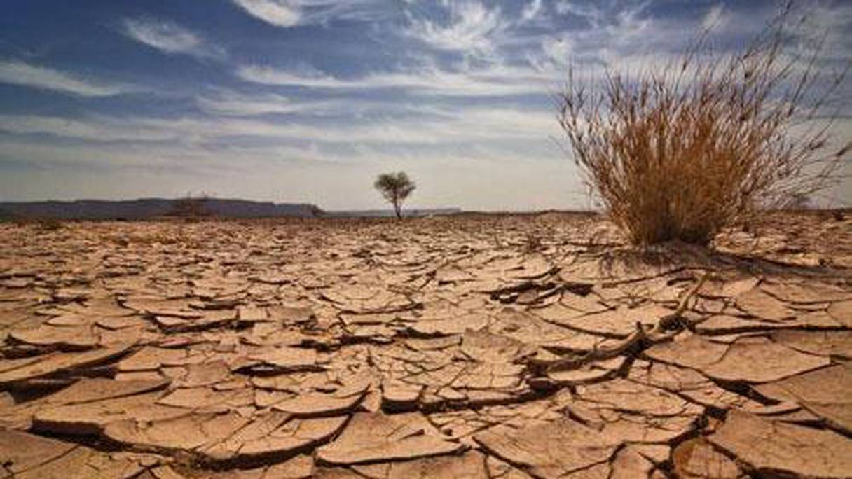 Le Maroc serait touché par une pénurie d'eau d'ici 2040.
