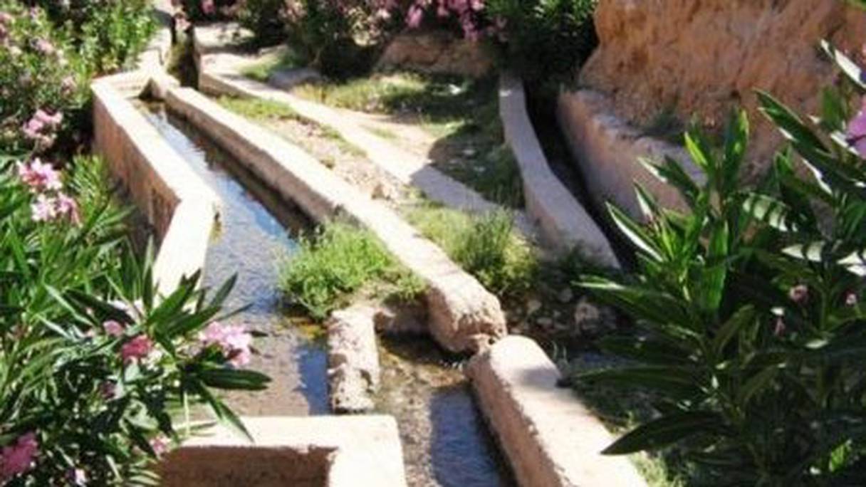 Seguia d'une oasis d'Ifrane de l'Anti-Atlas, commune rurale de la région de Guelmim-Oued Noun. Pluri-centenaires, les seguia, communes aux oasis d'Afrique du Nord, permettent d'irriguer les cultures via des canaux où l'eau circule à ciel ouvert. 
