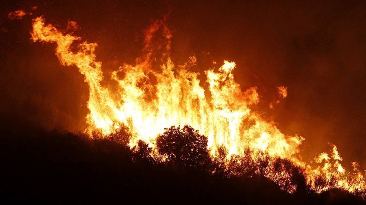 Plusieurs feux de forêts ont éclaté simultanément en Algérie le 6 novembre 2020.
