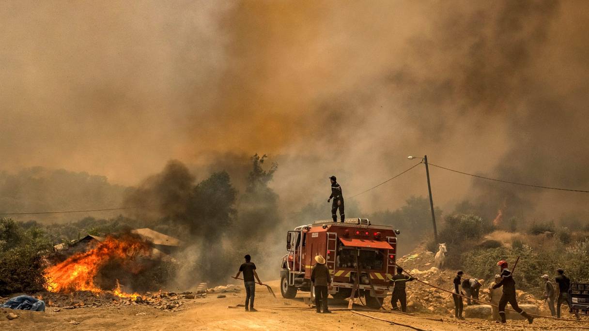 Des pompiers tentent d'éteindre un feu de forêt qui fait rage près de la ville marocaine de Ksar el-Kébir dans la région de Larache, le 14 juillet 2022.
