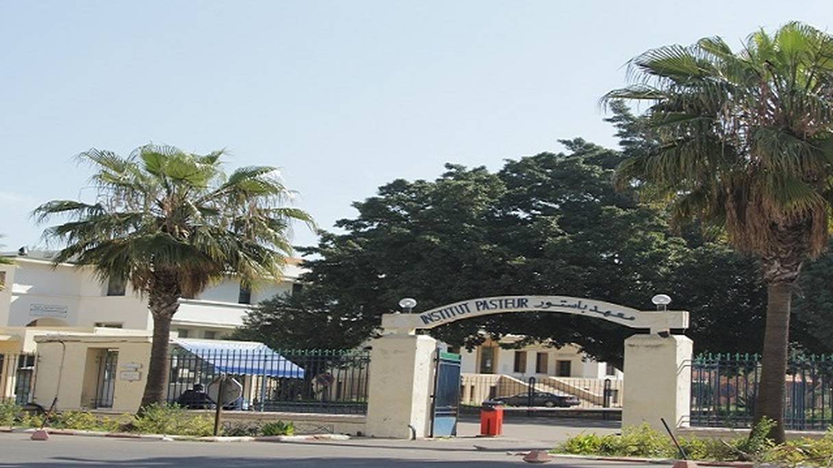 Institut Pasteur, Casablanca
