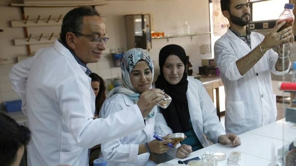 Adnane Remmal, chef du laboratoire de biotechnologie de l'Université Sidi Mohamed Ben Abdallah de Fès, avec son équipe le 30 juin 2017.
