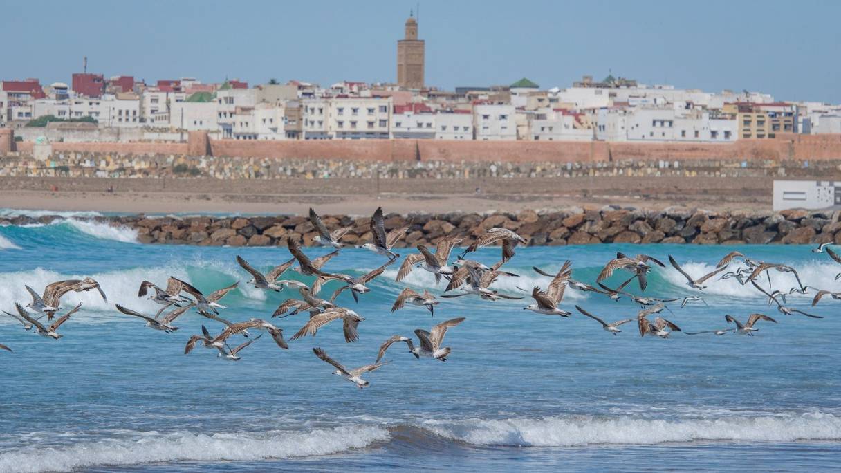 La plage de Rabat, le 24 mai 2020.
