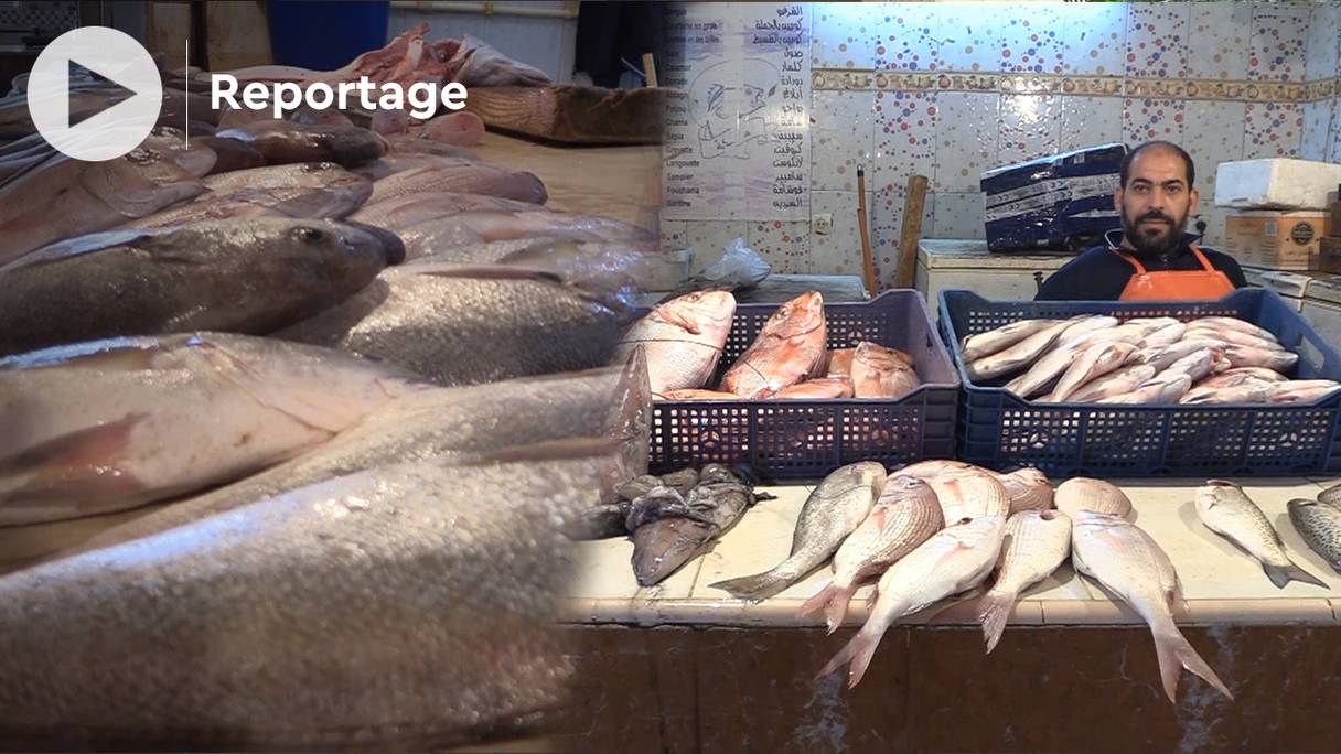 Des étals caractérisés par une diversité et une abondance en produits de la mer, à l'intérieur d'un marché aux poissons, à Dakhla.
