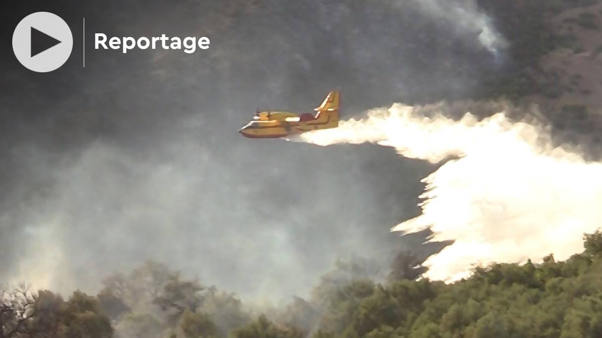 Un Canadair à l'œuvre dans la lutte contre l’incendie qui ravage la forêt Bab Azhar dans la province de Taza, samedi 16 juillet 2022.

