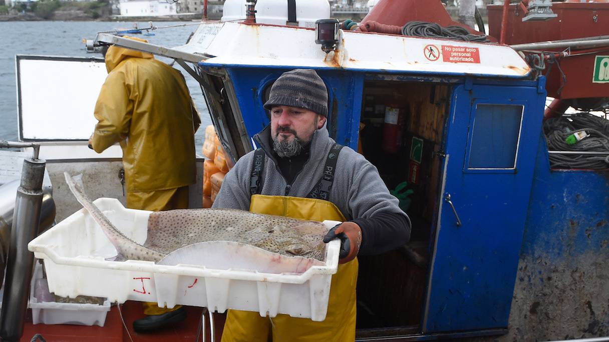 Un pêcheur espagnol décharge sa pêche du jour au port de Bueu dans le nord-ouest de l'Espagne, en avril 2020. 

