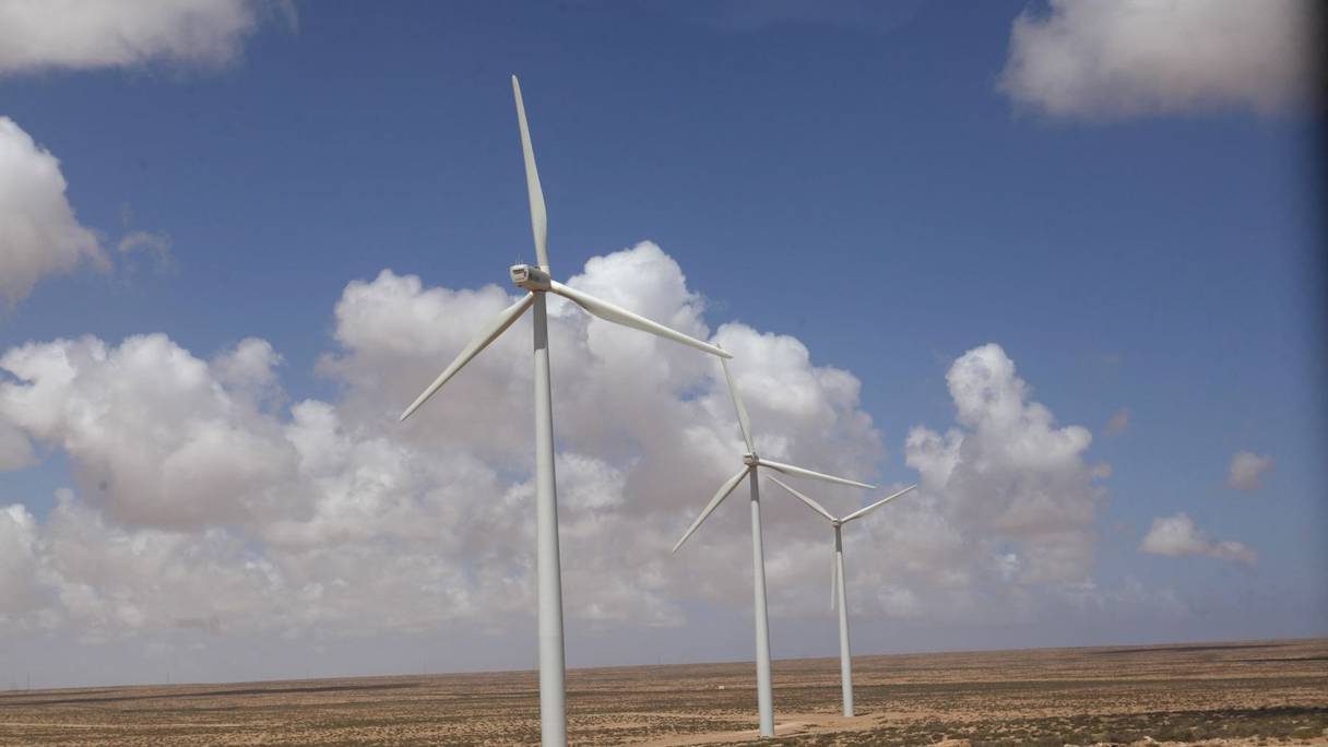 Le parc d'Akhfenir contient 61 éoliennes. Chaque turbine mesure 63 mètres en hauteur, pour des ailes de 43 mètres.

