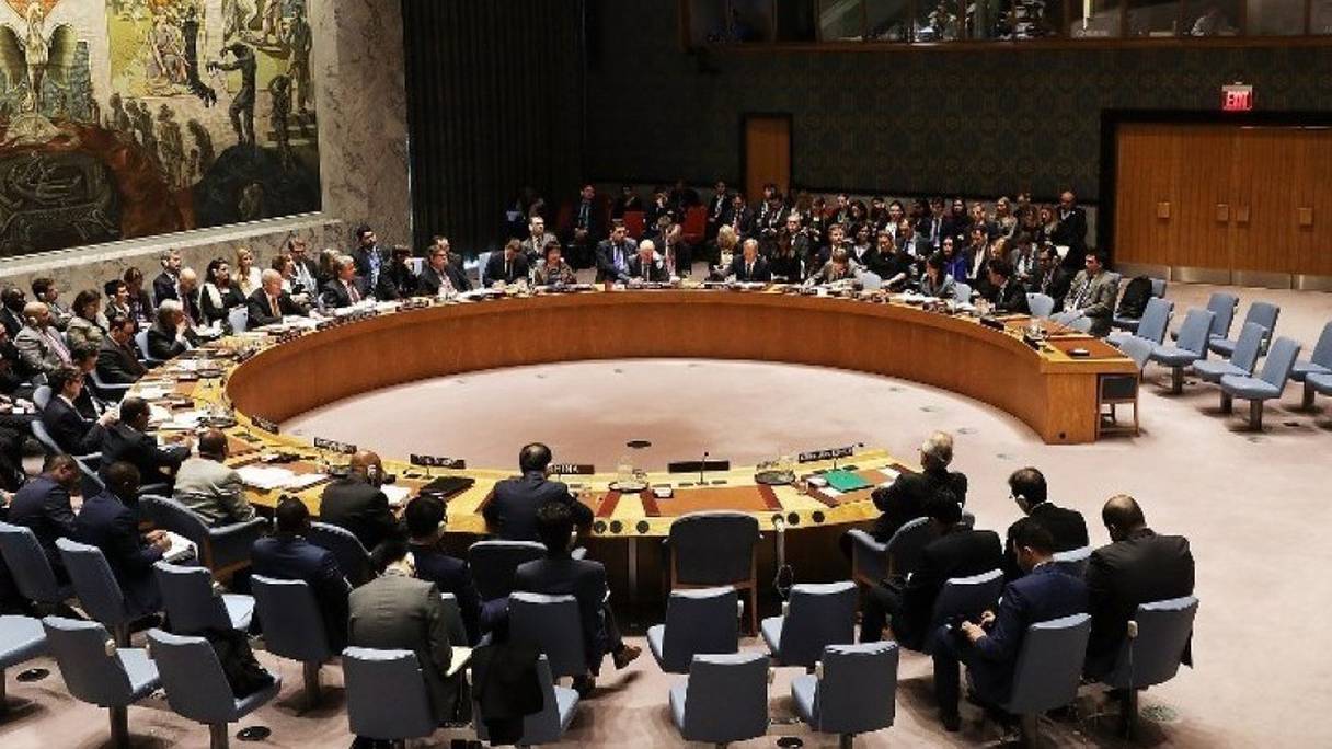 Conseil de sécurité de l'ONU.
