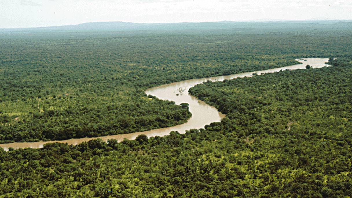 Long de 250 kilomètres, le fleuve Gambie traverse le Parc National du Niokolo Koba (sud-est du Sénégal). 
